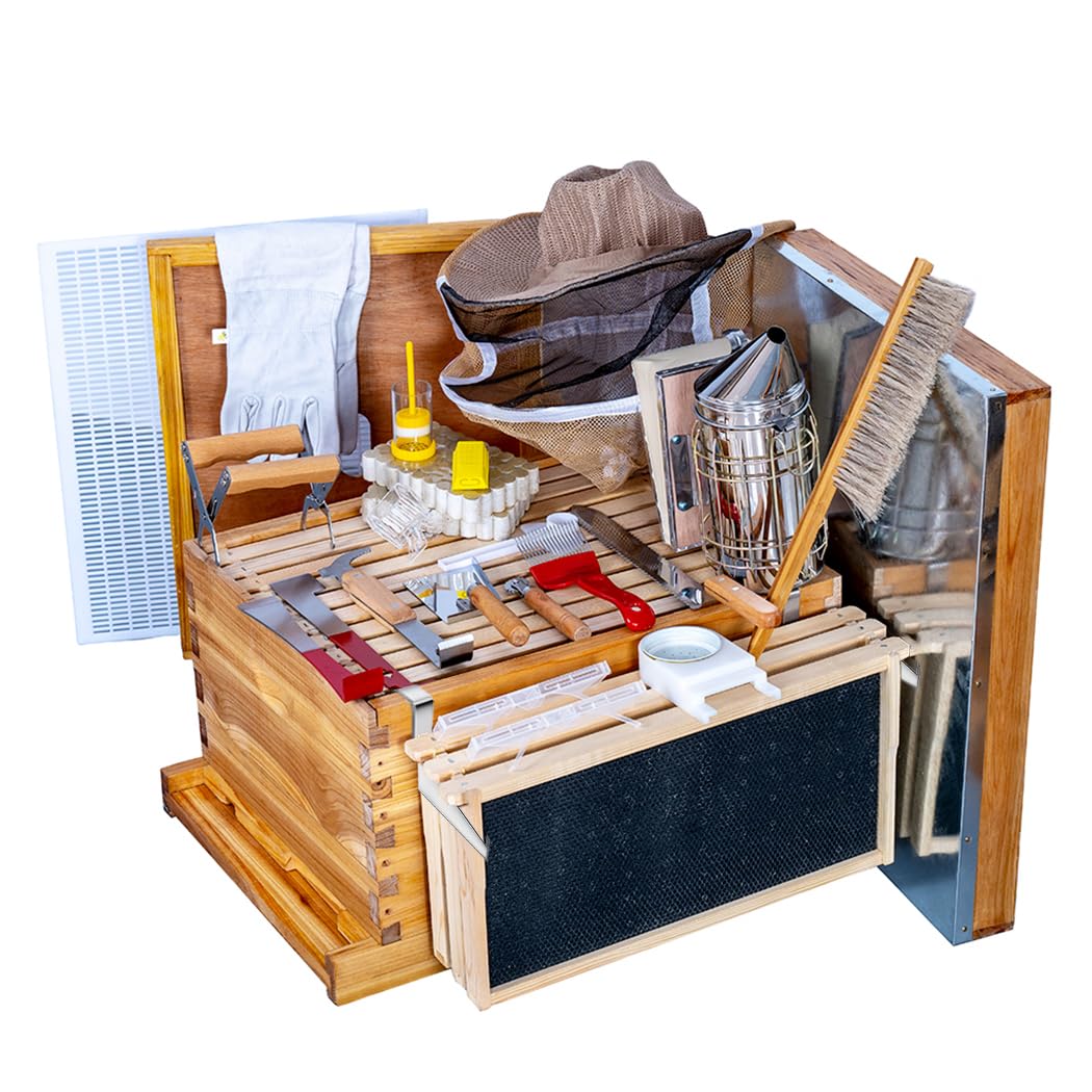 Beehive Frame Wax - Beehive 8Frame Bee Boxes Frames Kit