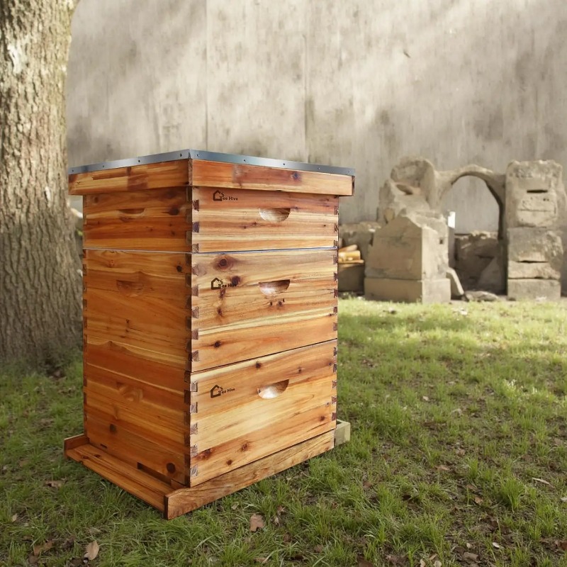 10-Frame Complete Beehive Kit, - Beehive Frame Wax 评论和价格