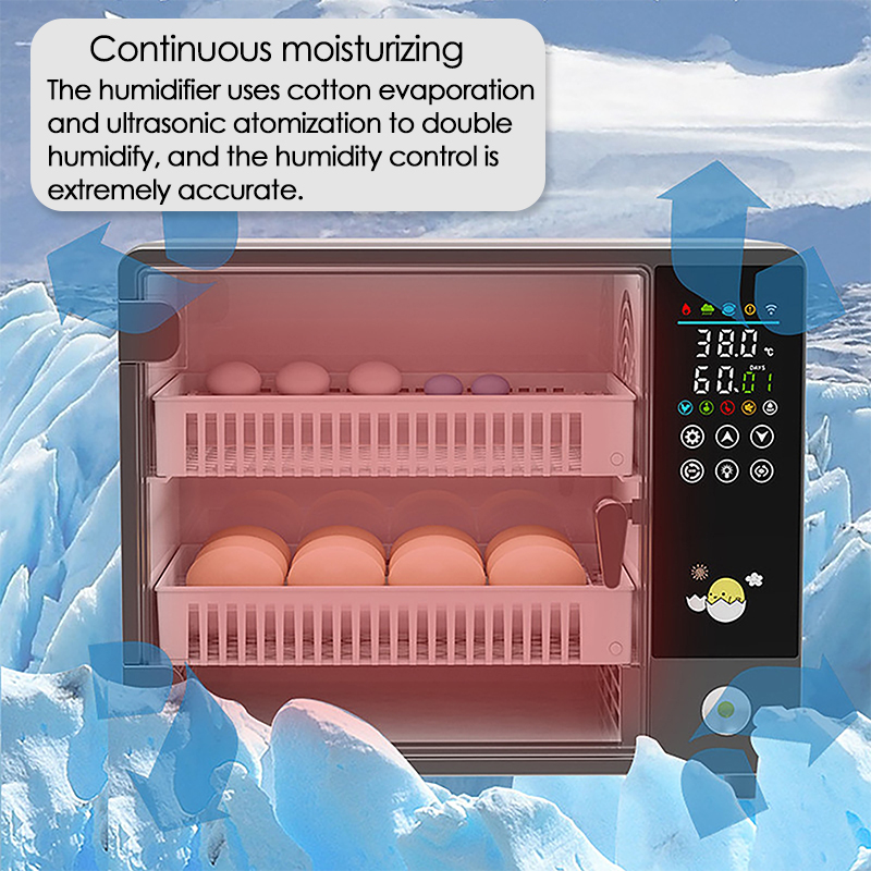 24 Eggs Full Automatic Turning - Quail Egg Incubator 评论和价格
