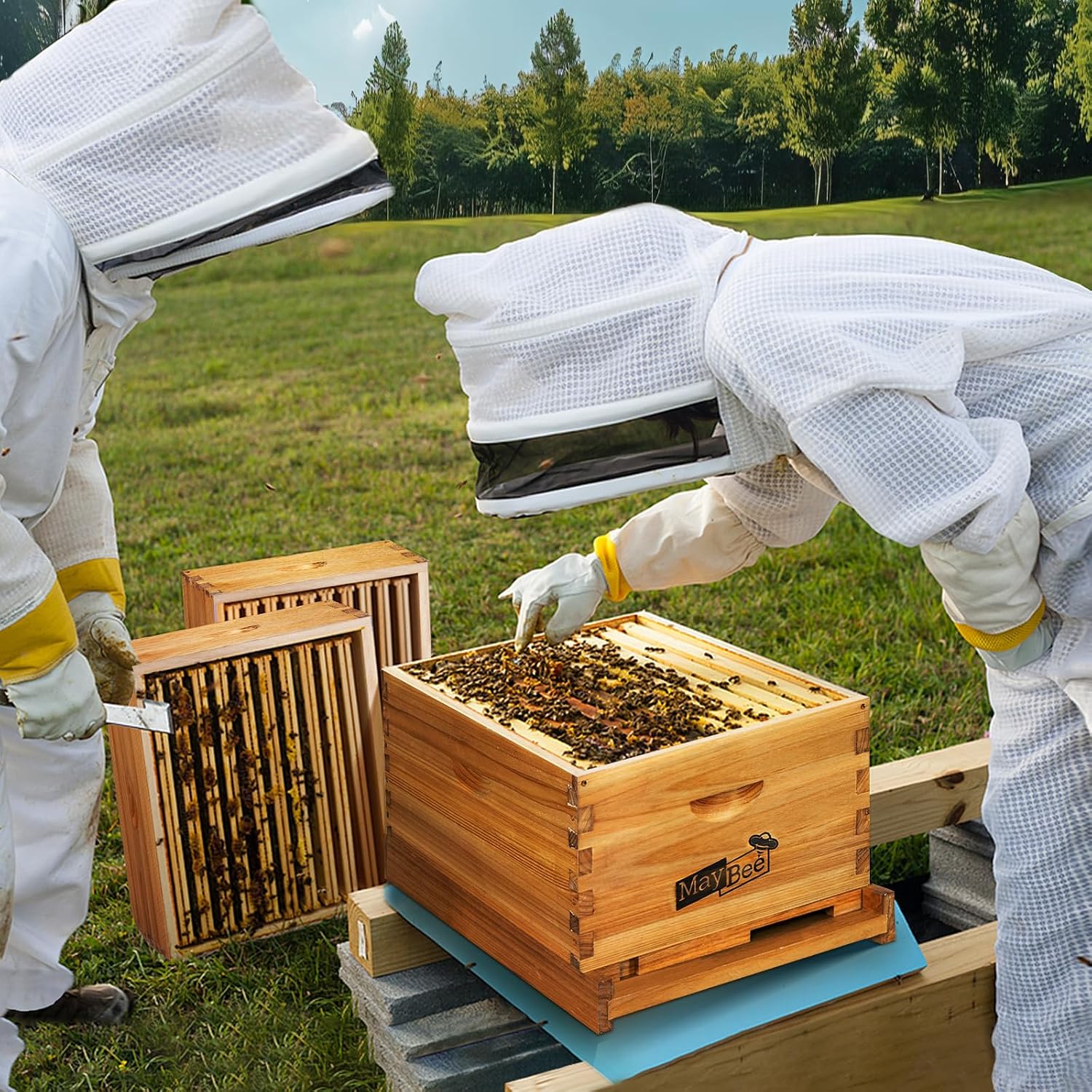 Beehive 8Frame Bee Boxes Frame - Beehive Frame Wax 评论和价格