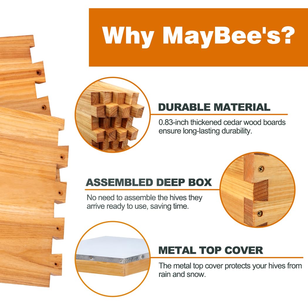 Beehive 8Frame Bee Boxes Frame - Beehive Frame Wax 评论和价格