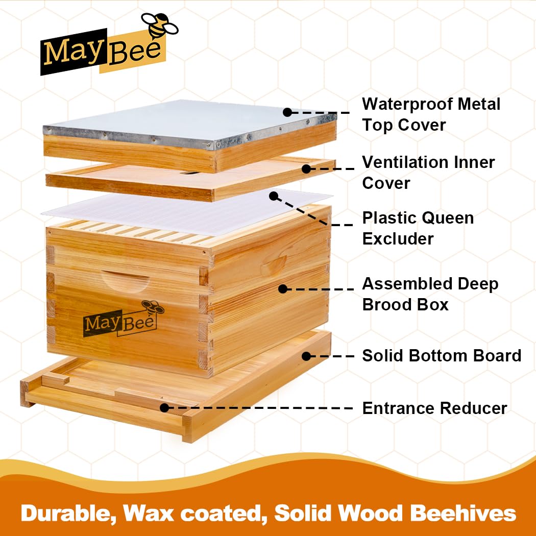 Beehive 8Frame Bee Boxes Frame - Beehive Frame Wax 评论和价格