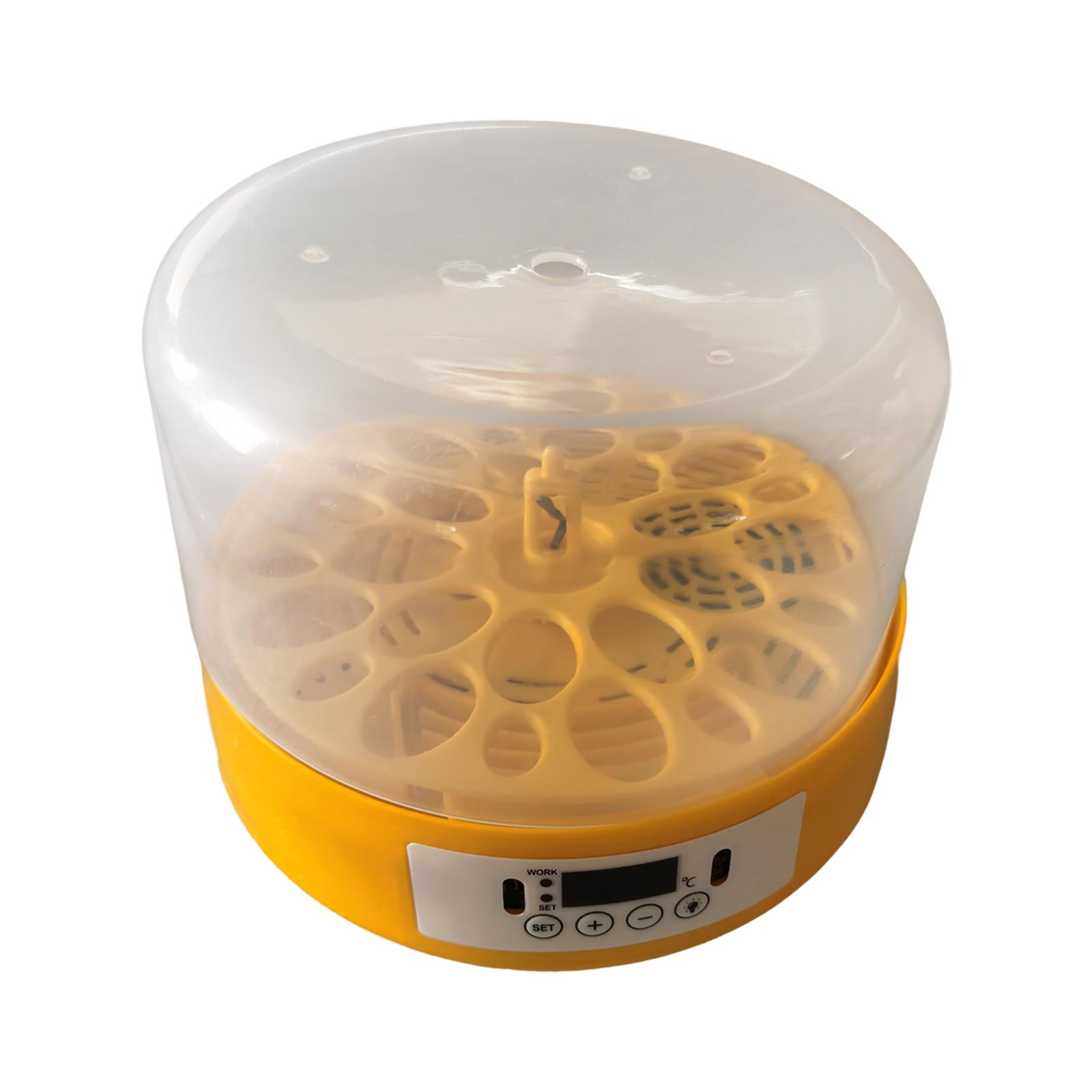 Egg Incubator Egg Turner Egg H - Quail Egg Incubator 评论和价格