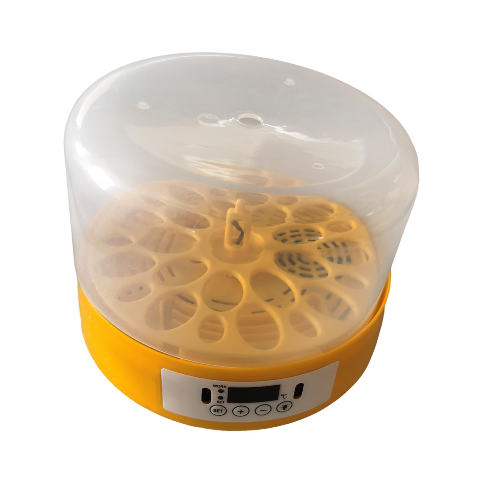Egg Incubator Egg Turner Egg H - Quail Egg Incubator 评论和价格