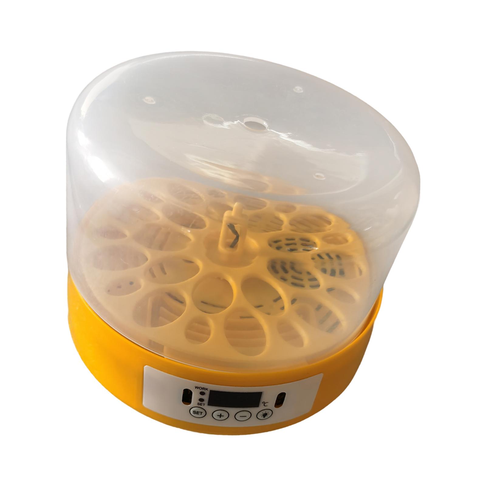 Egg Incubator Egg Turner Egg H - Quail Egg Incubator 评论和价格