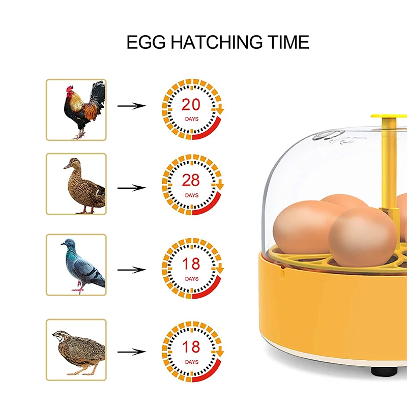 Breeding Incubator Chicken Duc - Quail Egg Incubator 评论和价格