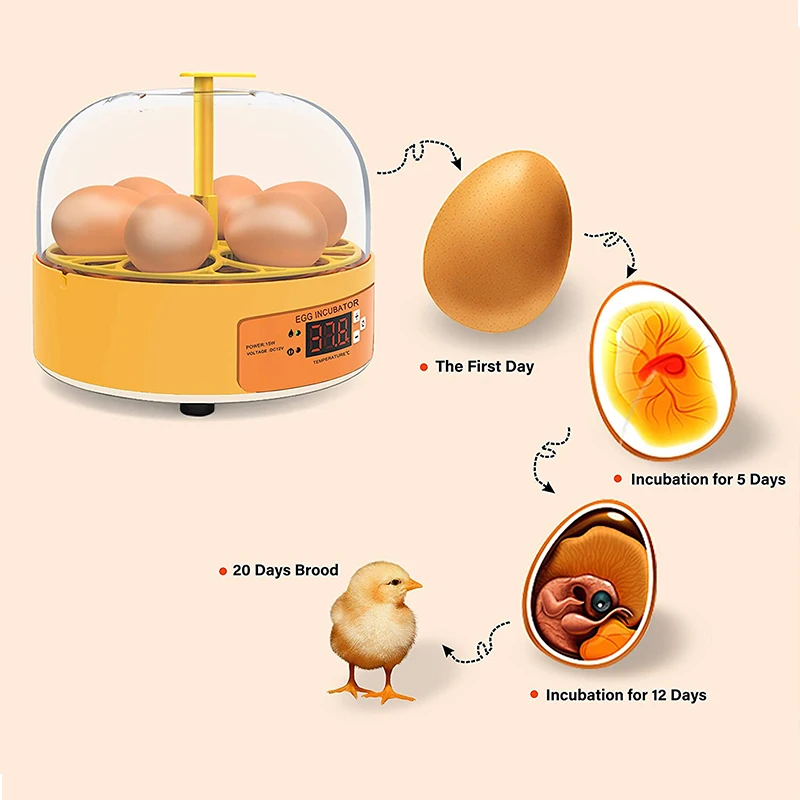 Breeding Incubator Chicken Duc - Quail Egg Incubator 评论和价格