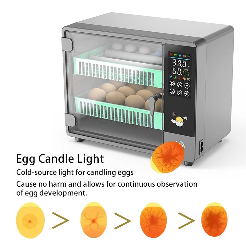 Factory Direct 2026 Fully Auto - Quail Egg Incubator 评论和价格