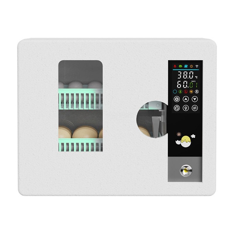 Factory Direct 2026 Fully Auto - Quail Egg Incubator 评论和价格