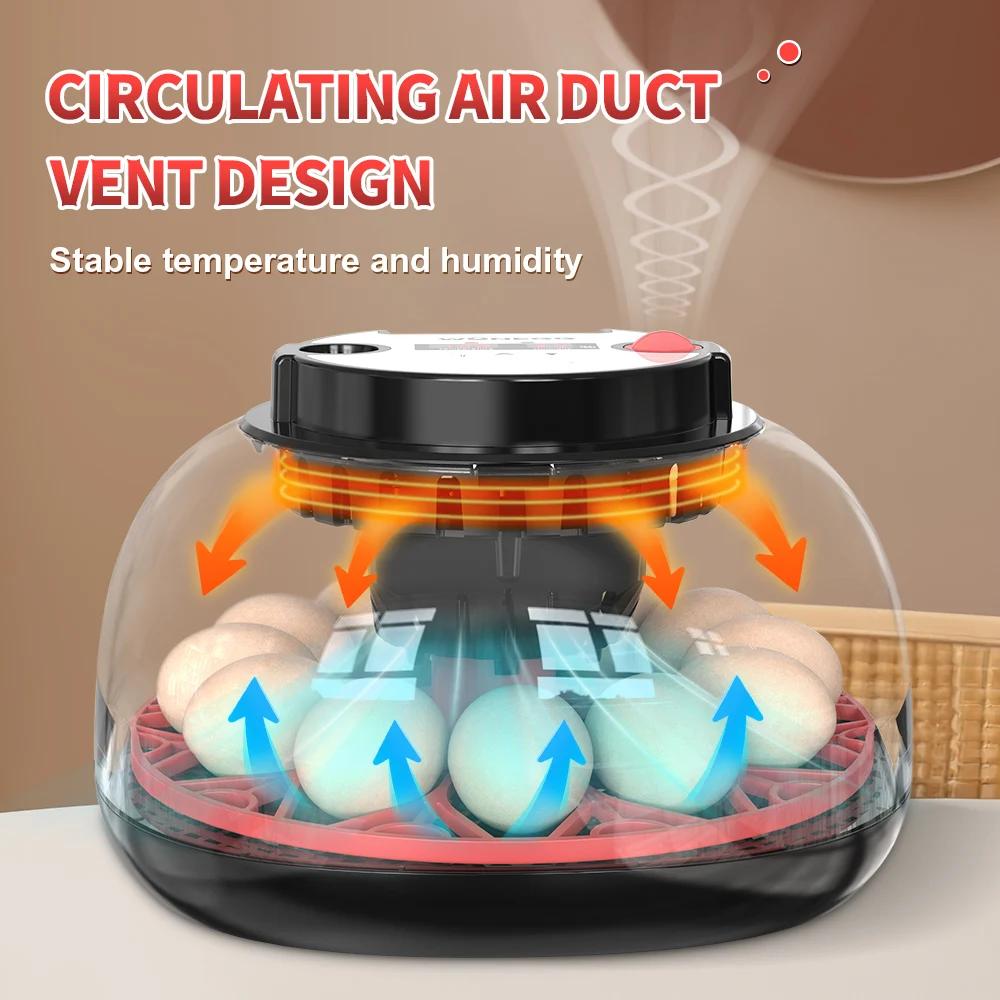 12 Egg Incubator Automatic Tur - Quail Egg Incubator 评论和价格