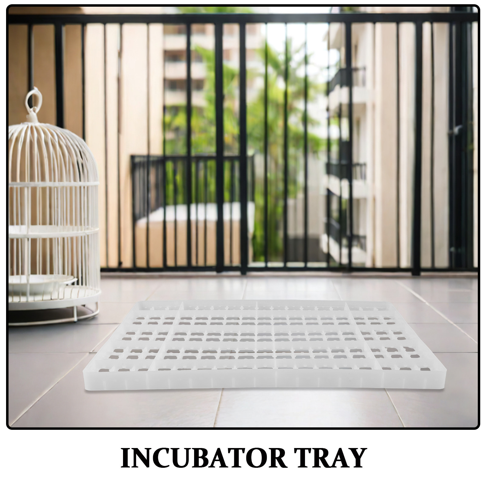 2PCS Egg Incubator Tray Grid C - Quail Egg Incubator 评论和价格