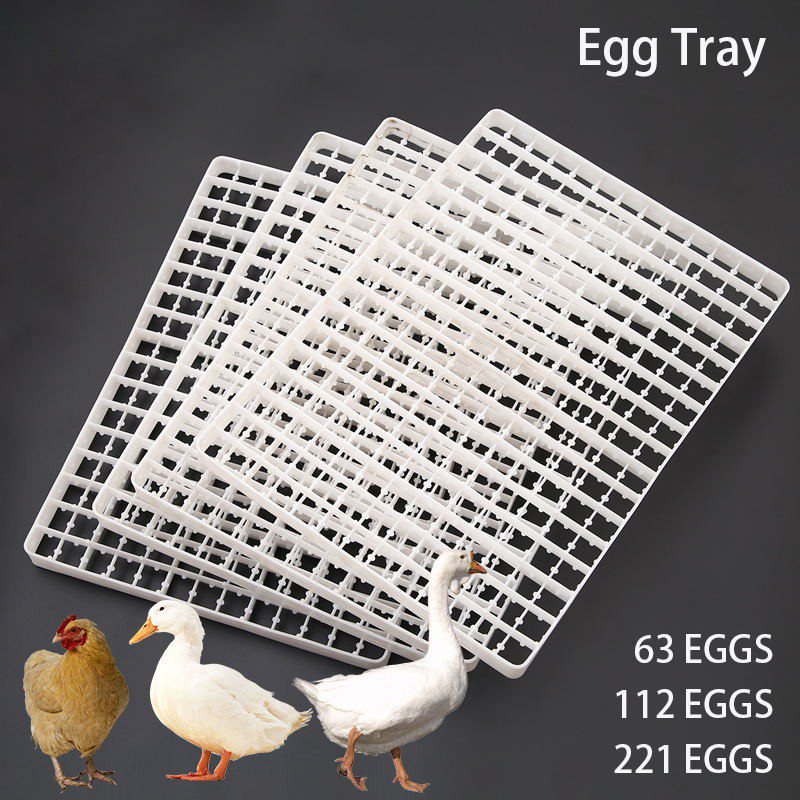 1Pcs Egg Tray For Incubator Au - Quail Egg Incubator 评论和价格