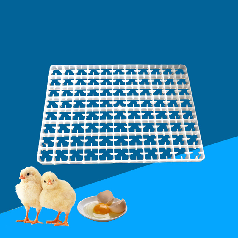1Pcs Egg Tray For Incubator Au - Quail Egg Incubator 评论和价格