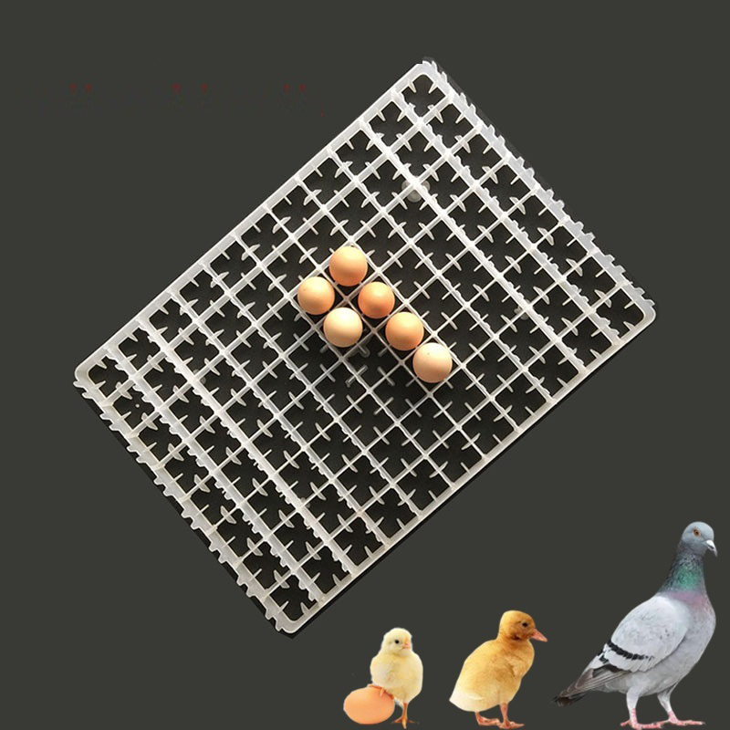 1Pcs Egg Tray For Incubator Au - Quail Egg Incubator 评论和价格