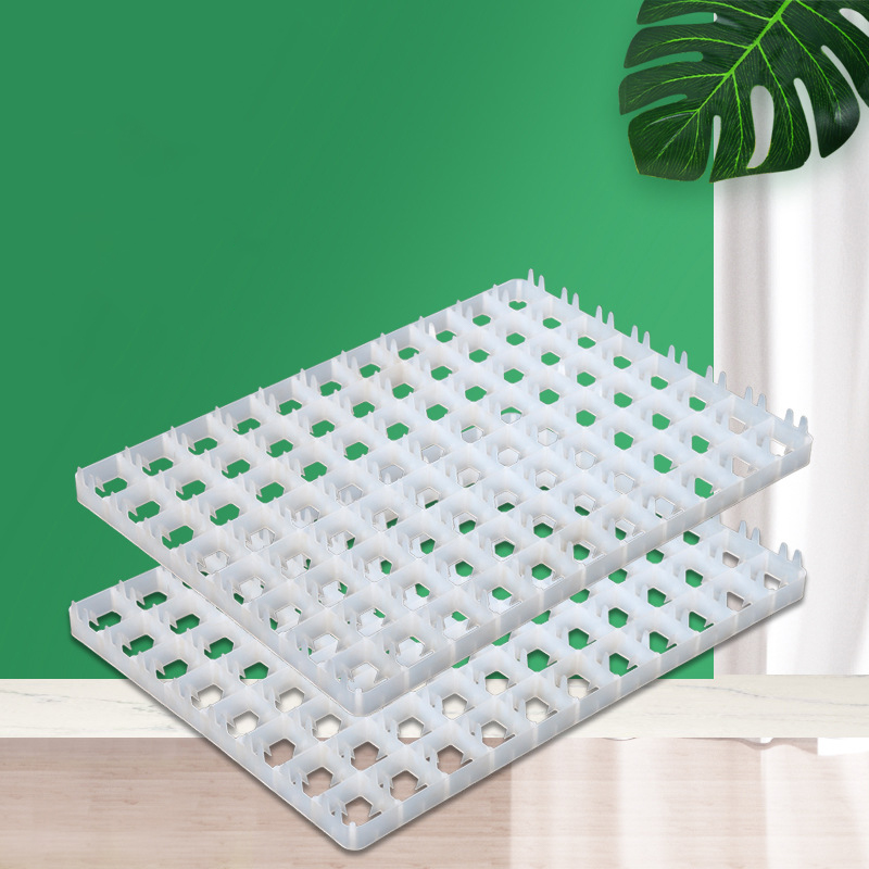 1Pcs Egg Tray For Incubator Au - Quail Egg Incubator 评论和价格
