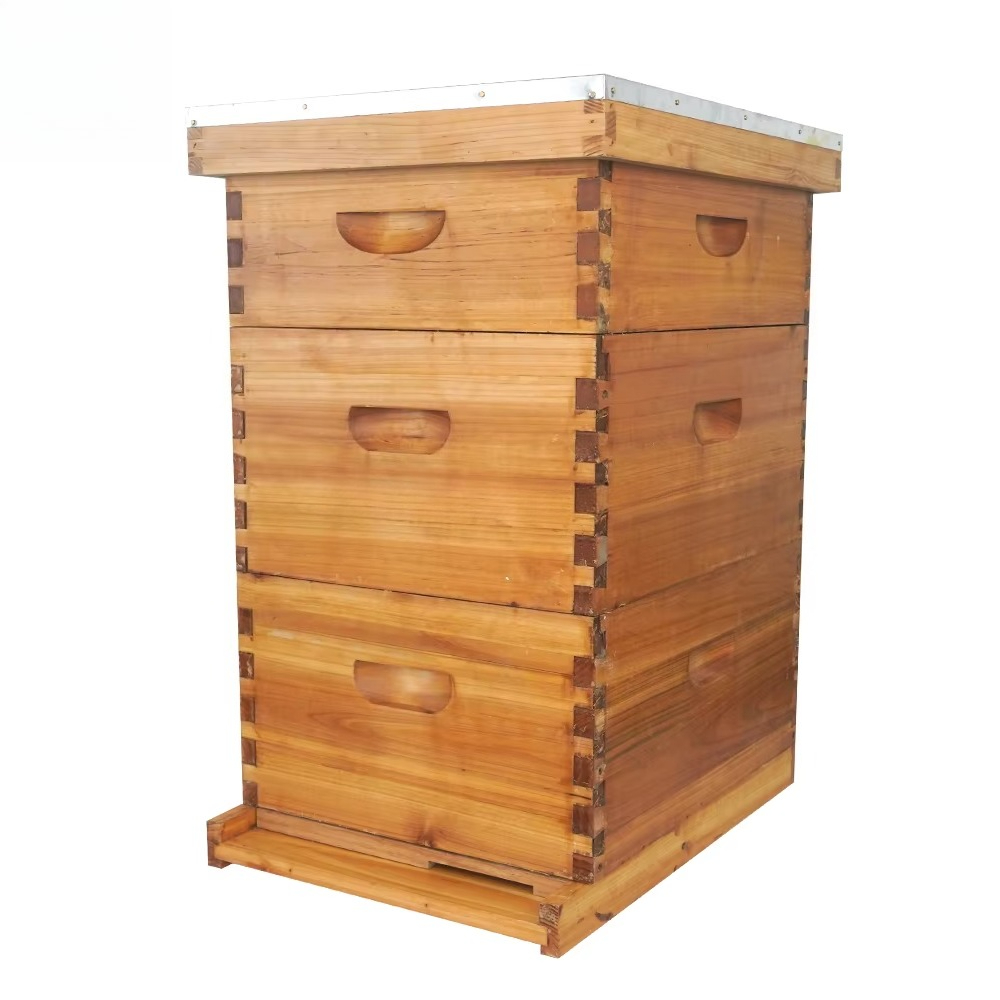 Complete 3-layer wax-soaked be - Beehive Frame Wax 评论和价格
