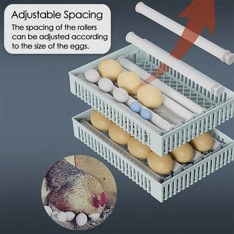 24 Eggs Incubator Fully Automa - Quail Egg Incubator 评论和价格