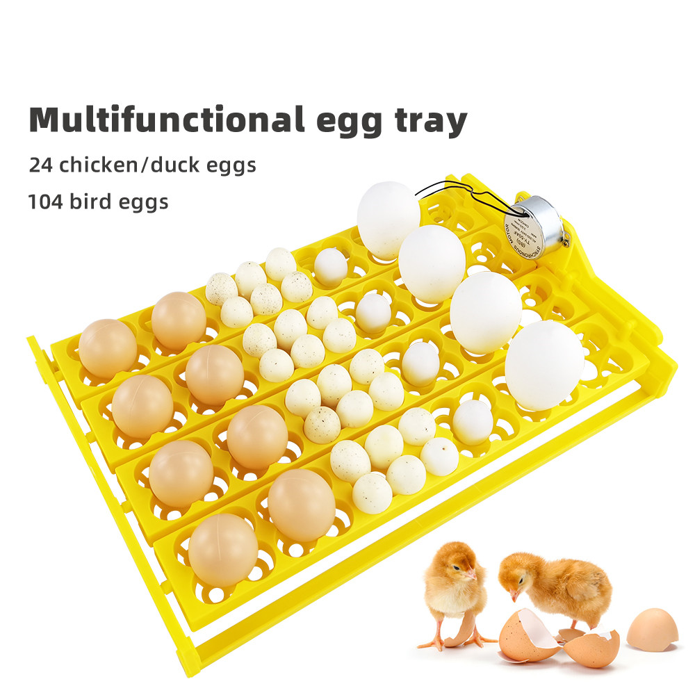 24pcs Eggs Incubator Tray Auto - Quail Egg Incubator 评论和价格