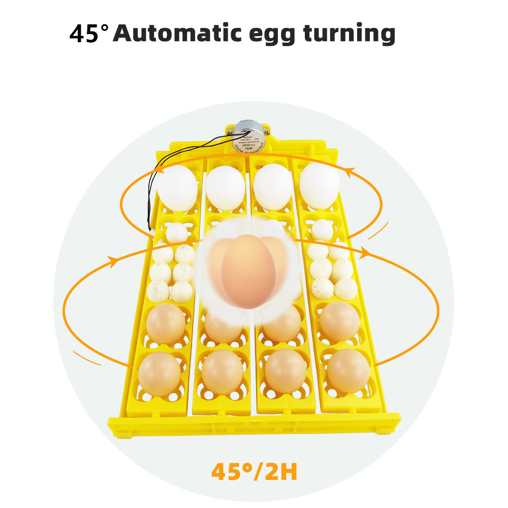 24pcs Eggs Incubator Tray Auto - Quail Egg Incubator 评论和价格