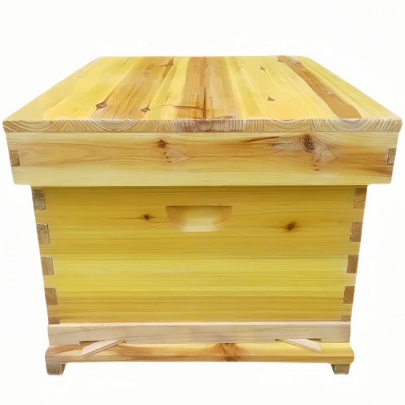 Bee Hive in Bee Box, A Full Se - Beehive Frame Wax 评论和价格