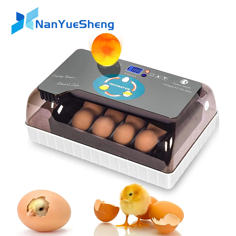 Automatic HHD Best Digital 12  - Quail Egg Incubator 评论和价格