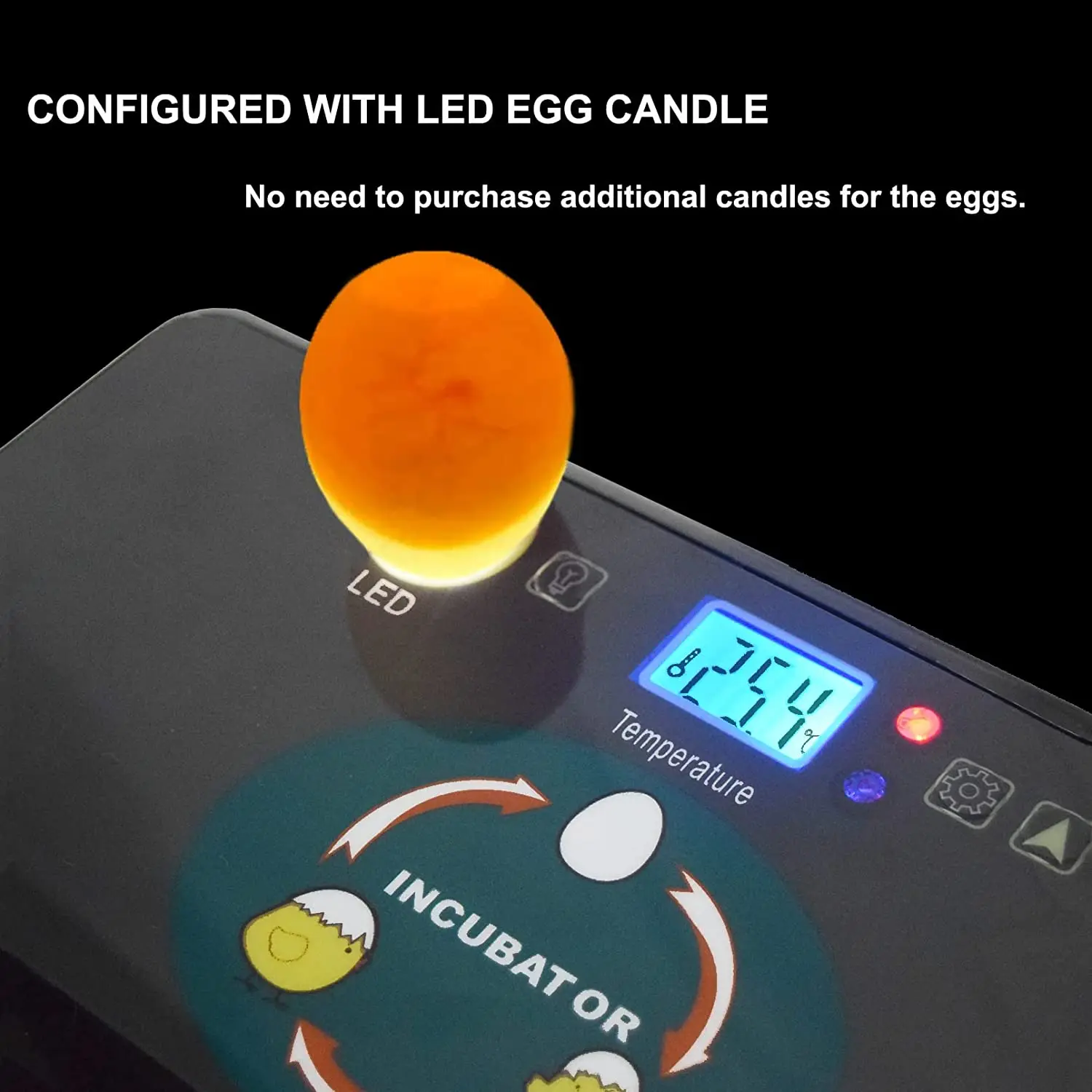 Automatic HHD Best Digital 12  - Quail Egg Incubator 评论和价格
