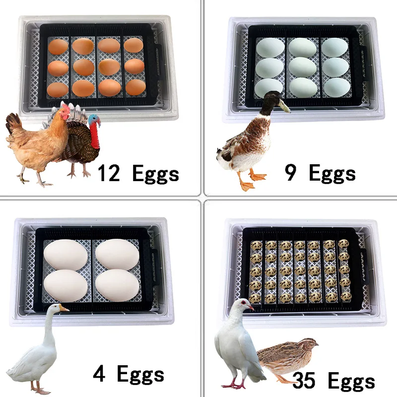 Automatic HHD Best Digital 12  - Quail Egg Incubator 评论和价格