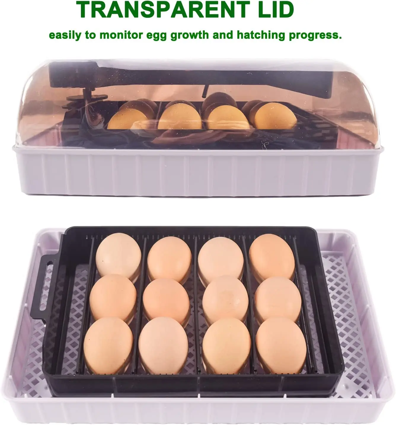Automatic HHD Best Digital 12  - Quail Egg Incubator 评论和价格