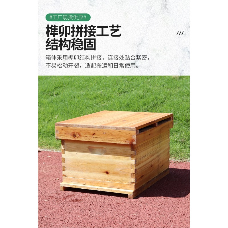 Fir Wood 10-Frame Beehive Box  - Beehive Frame Wax 评论和价格