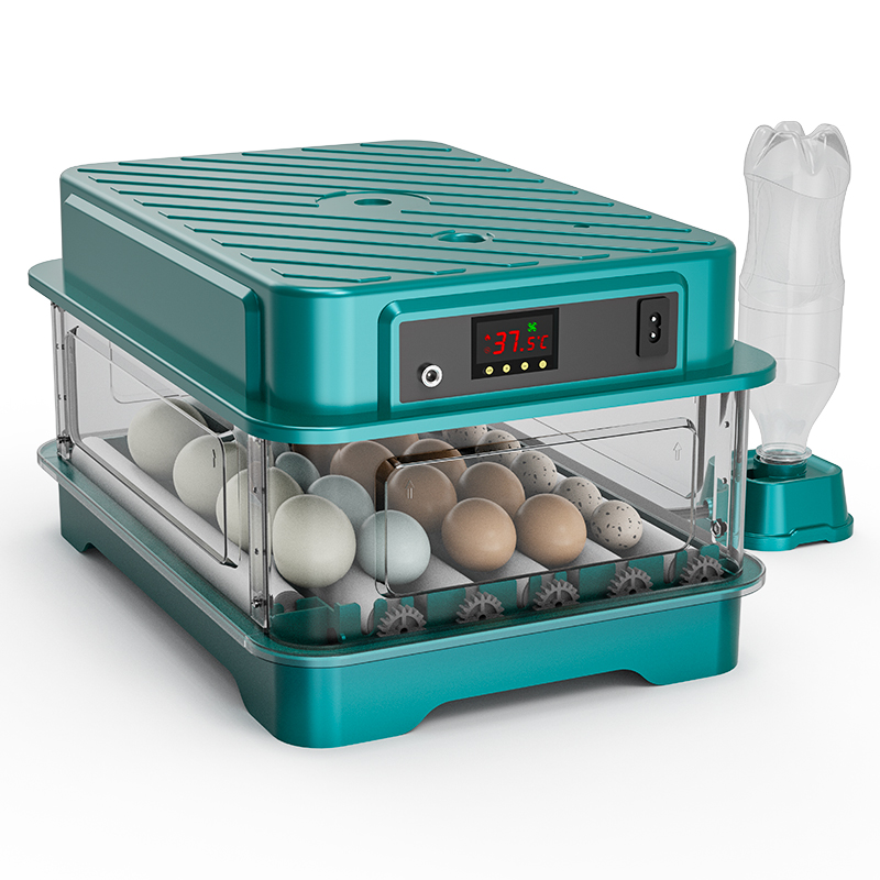 Fully Automatic  Chicken Quail - Quail Egg Incubator 评论和价格