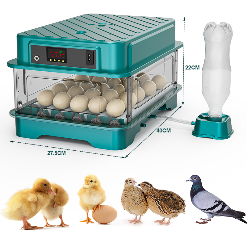 Fully Automatic  Chicken Quail - Quail Egg Incubator 评论和价格