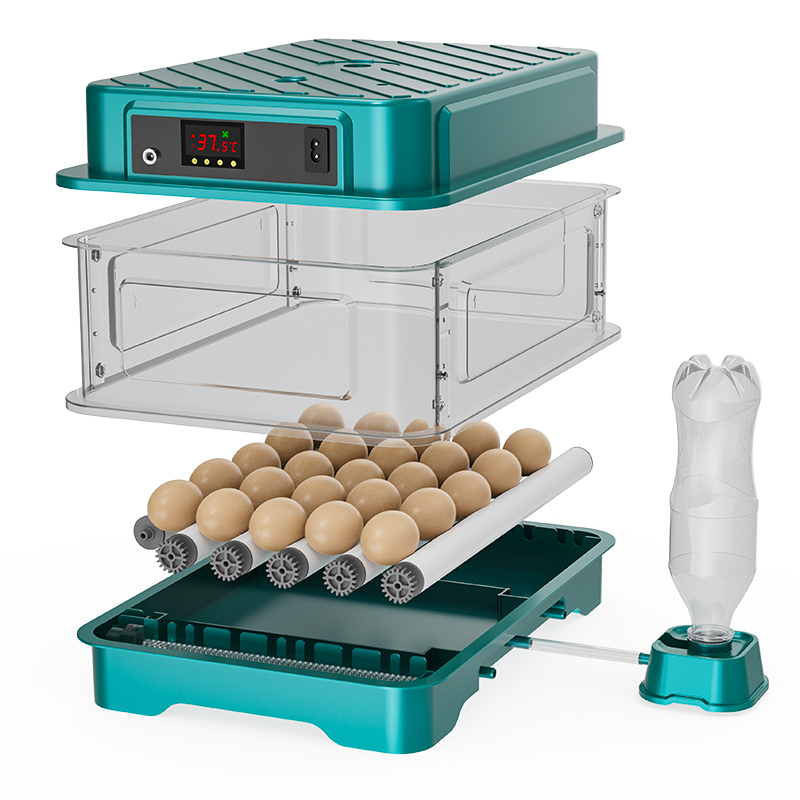 Fully Automatic  Chicken Quail - Quail Egg Incubator 评论和价格