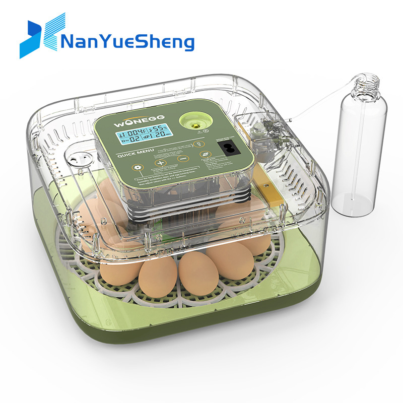 New 12 Chick egg Hatchery mach - Quail Egg Incubator 评论和价格