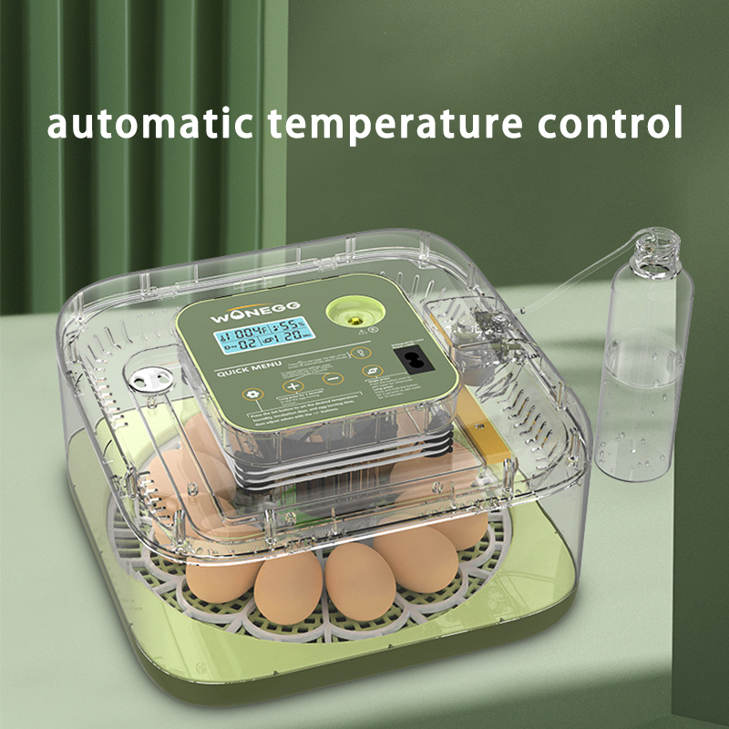 New 12 Chick egg Hatchery mach - Quail Egg Incubator 评论和价格