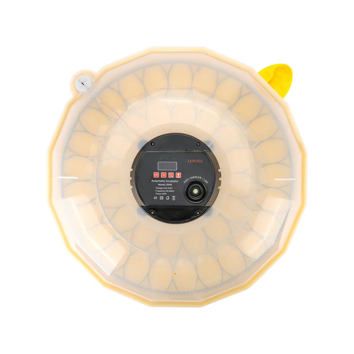 Mini Egg Incubator with 99% Ha - Quail Egg Incubator 评论和价格