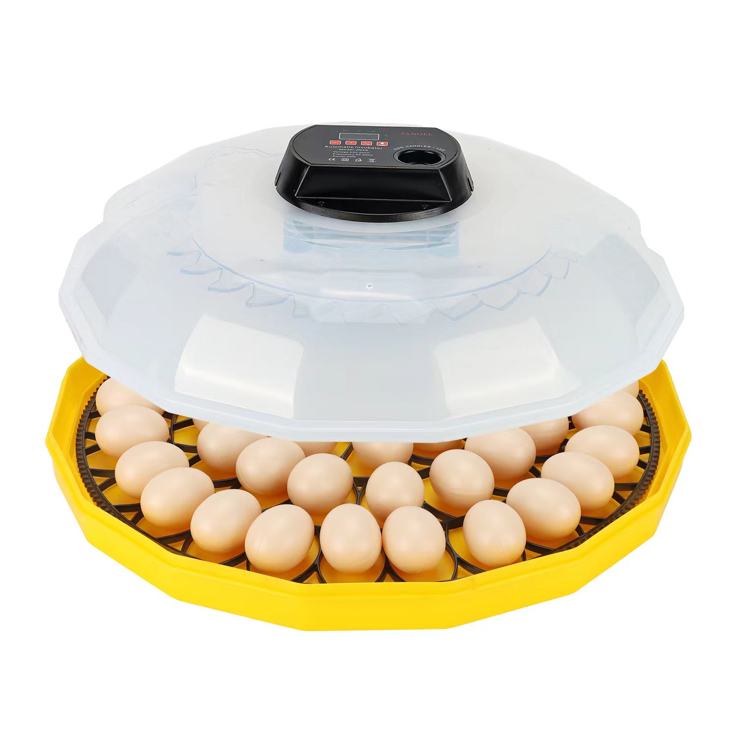 Mini Egg Incubator with 99% Ha - Quail Egg Incubator 评论和价格