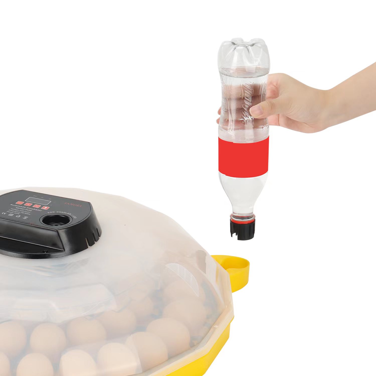 Mini Egg Incubator with 99% Ha - Quail Egg Incubator 评论和价格