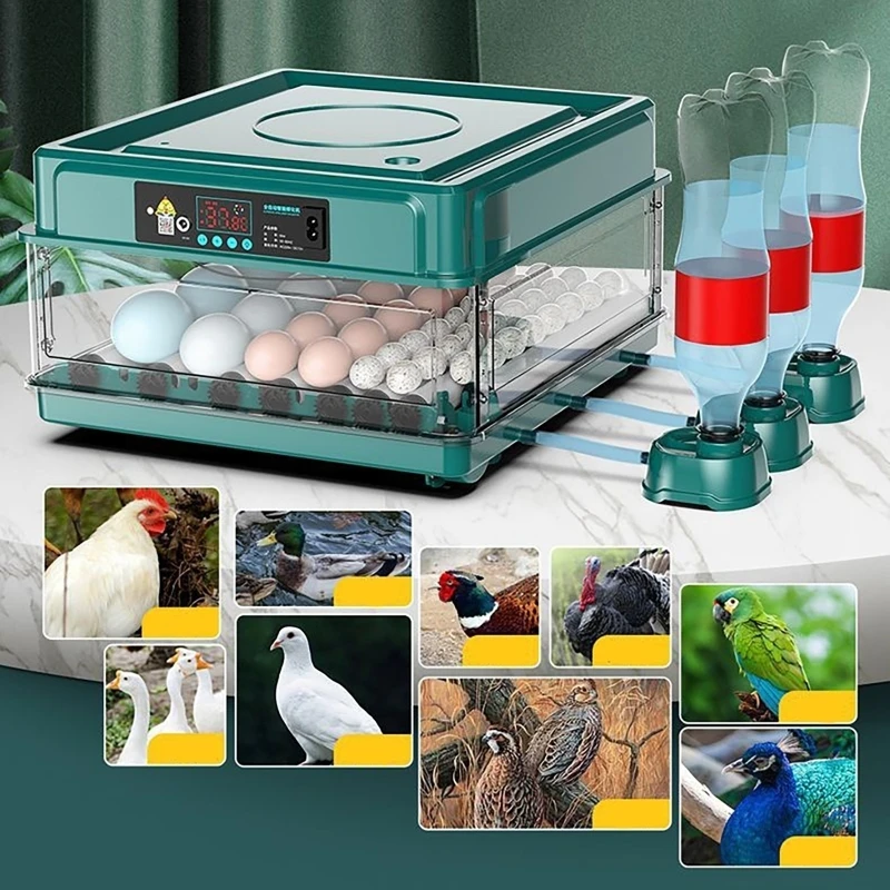 12 24 38 Eggs Incubator Auto T - Quail Egg Incubator 评论和价格